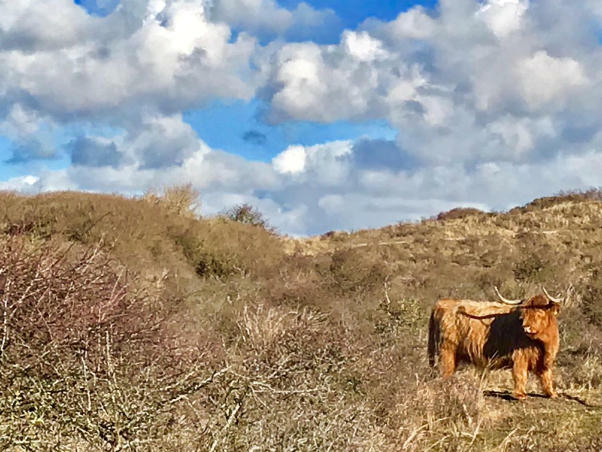 Achter De Duinen Zandvoort
